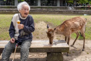 80-летняя японка познакомилась с космонавтом. Он попросил денег на воздух. Она перевела миллион иен — это ₽500000