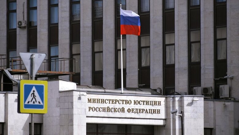 Адвоката Pussy Riot внесли в реестр иноагентов