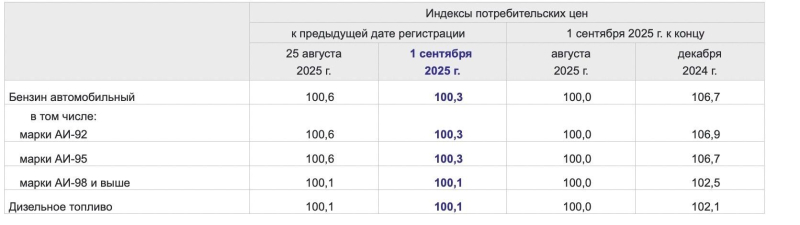 Топливный кризис на АЗС. Почему в нефтяной России так быстро дорожает бензин?