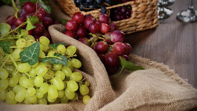Врач назвала продукт, который может снижать уровень холестерина