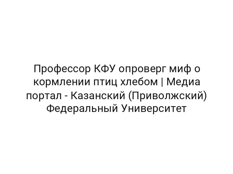 Профессор КФУ опроверг миф о кормлении птиц хлебом | Медиа портал — Казанский (Приволжский) Федеральный Университет