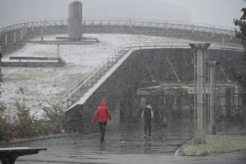 МЧС предупредило москвичей о мокром снеге и ветре до 15 м/с