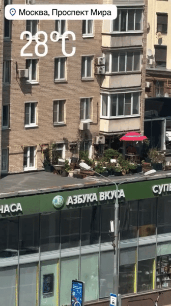 Большинство деревьев в наших дворах следует вырубить: Таков закон